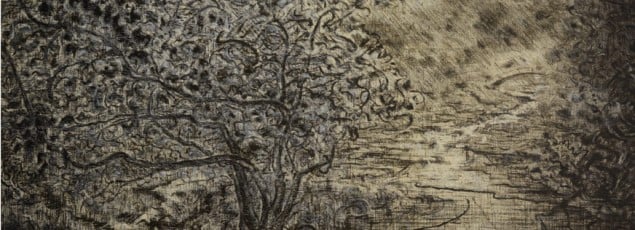 kate-steenhauer-sketch-tree