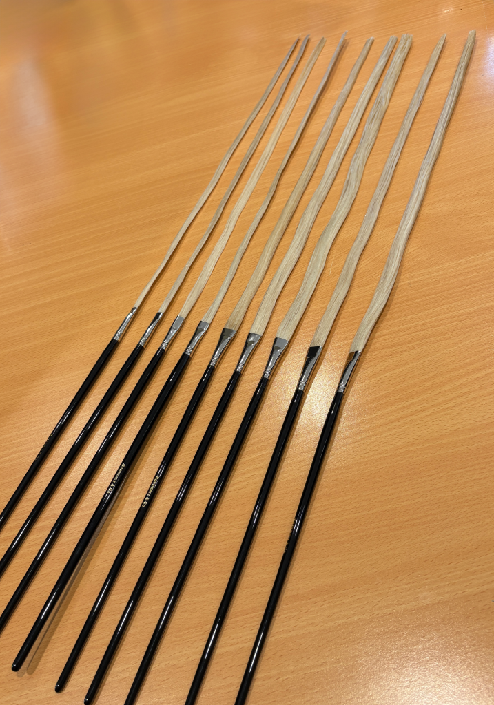 Botanical Brush Set Vol 6 | Brush Galaxy - View #3